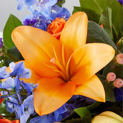 Radiant Citrus Box Bouquet –  Heavenly Plants, Regina SK