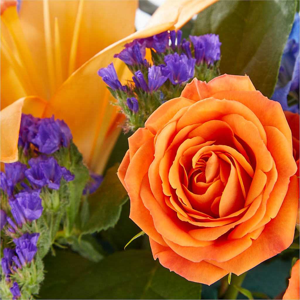 Radiant Citrus Box Bouquet –  Heavenly Plants, Regina SK