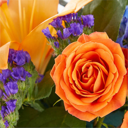 Radiant Citrus Box Bouquet –  Heavenly Plants, Regina SK