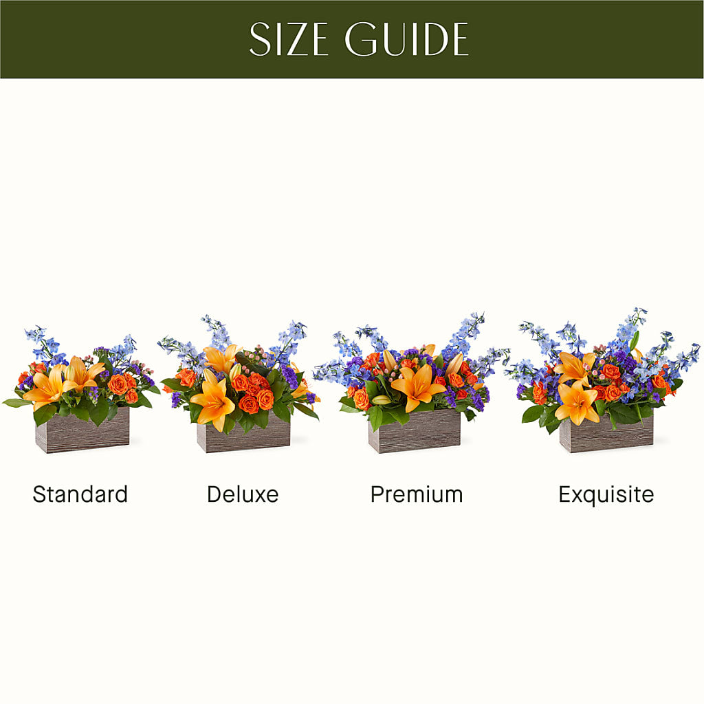 Radiant Citrus Box Bouquet –  Heavenly Plants, Regina SK