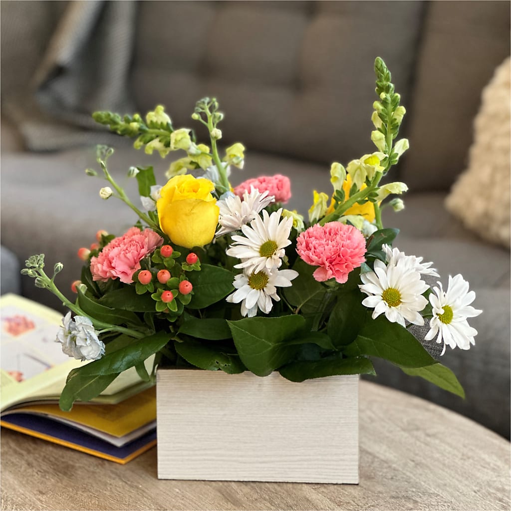 Sun Salutation Box Bouquet –  Heavenly Plants, Regina SK