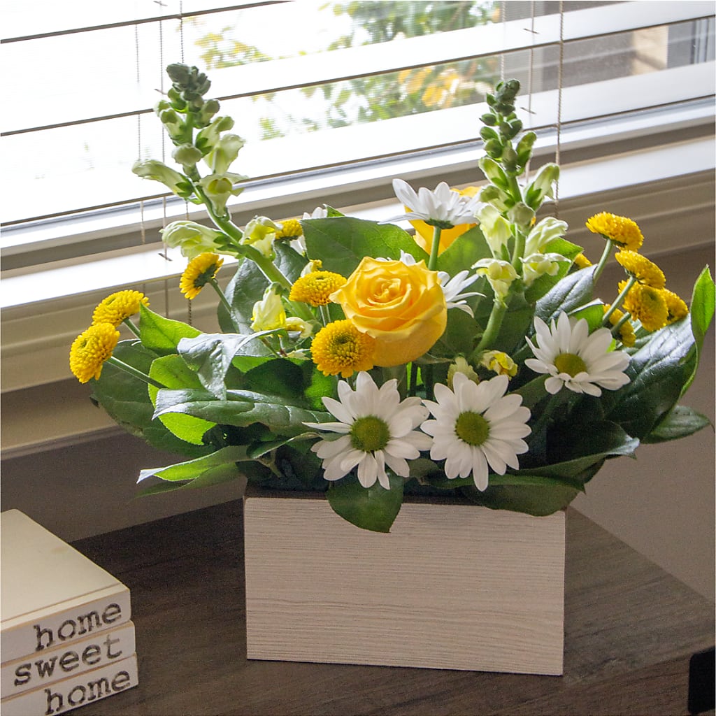 Sun Salutation Box Bouquet –  Heavenly Plants, Regina SK