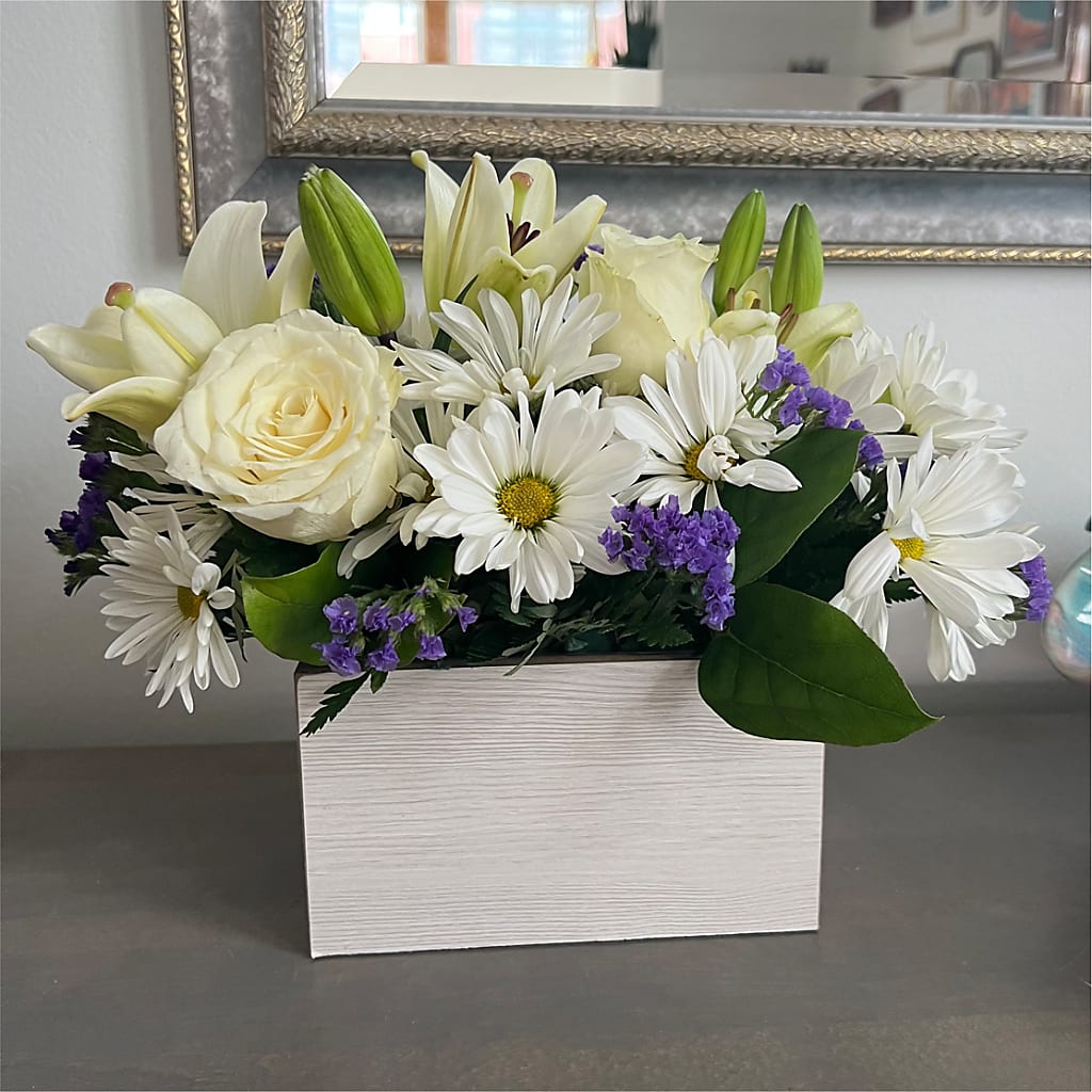 Beyond Blue Box Bouquet –  Heavenly Plants, Regina SK