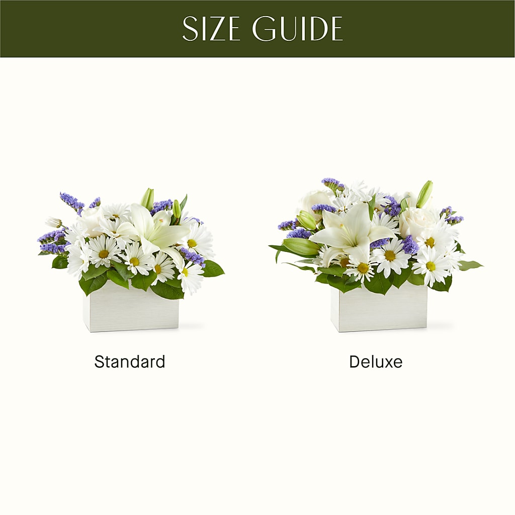 Beyond Blue Box Bouquet –  Heavenly Plants, Regina SK