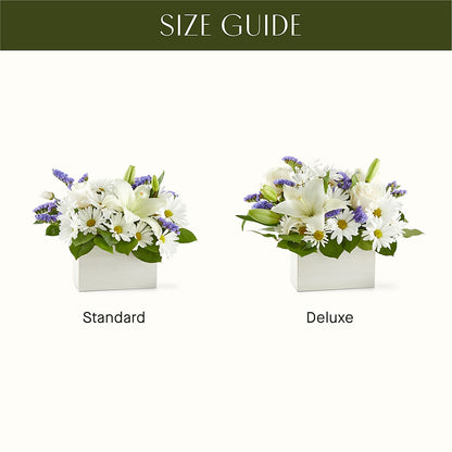 Beyond Blue Box Bouquet –  Heavenly Plants, Regina SK