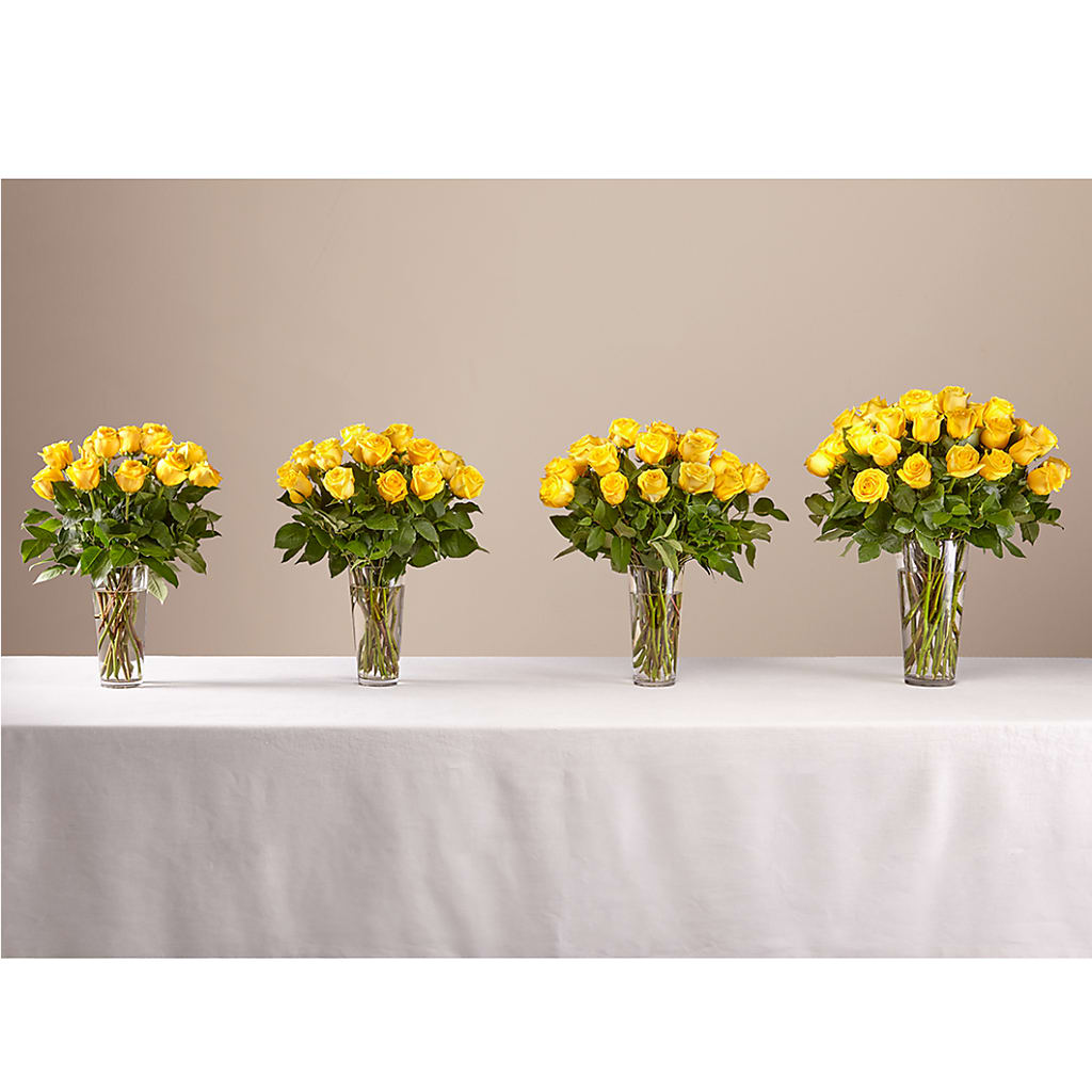 Long Stem Yellow Rose Bouquet –  Heavenly Plants, Regina SK