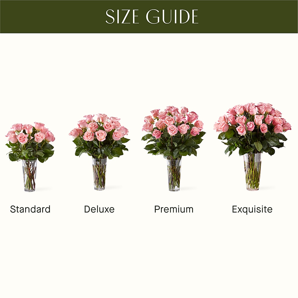 Long Stem Pink Rose Bouquet –  Heavenly Plants, Regina SK
