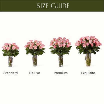 Long Stem Pink Rose Bouquet –  Heavenly Plants, Regina SK