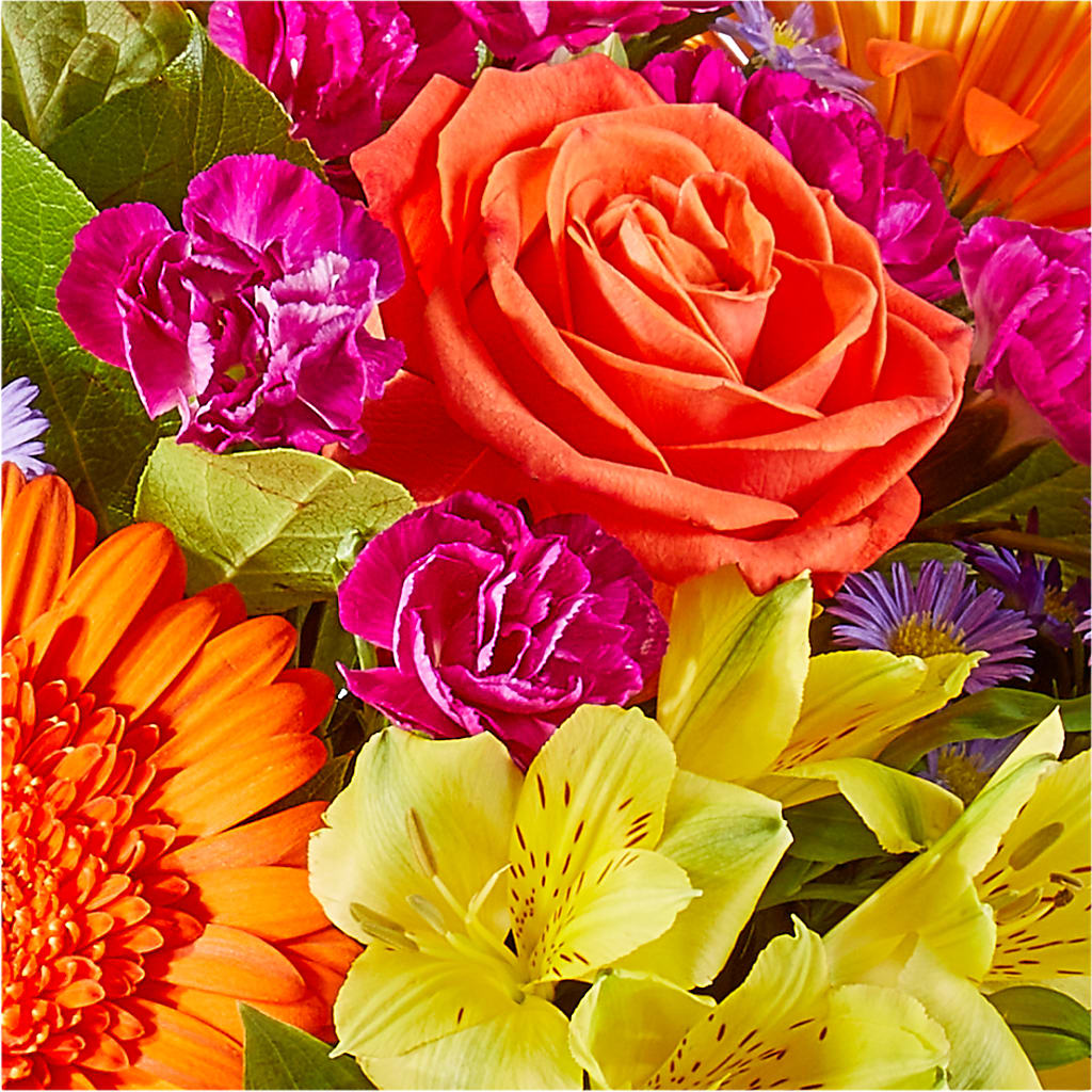 Tricks & Treats Pumpkin –  Heavenly Plants, Regina SK