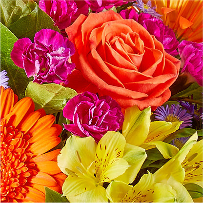 Tricks & Treats Pumpkin –  Heavenly Plants, Regina SK