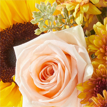 Pumpkin to Talk About Bouquet –  Heavenly Plants, Regina SK