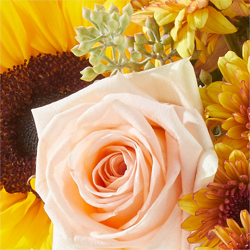 Pumpkin to Talk About Bouquet –  Heavenly Plants, Regina SK