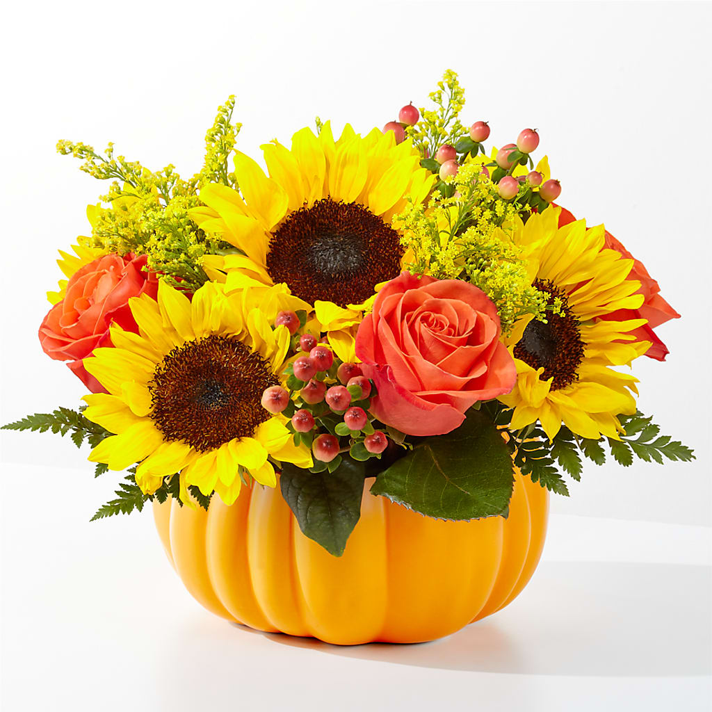 Bouquet de citrouilles cueillies au champ