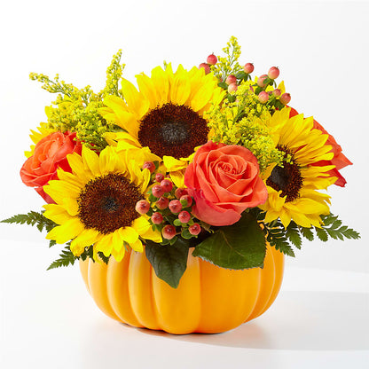 Bouquet de citrouilles cueillies au champ
