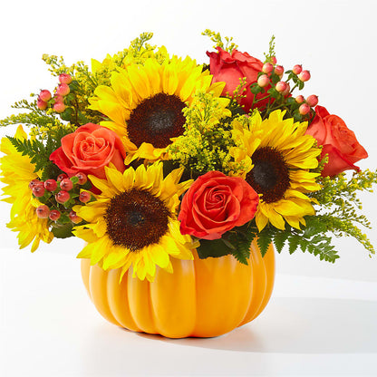 Bouquet de citrouilles cueillies au champ