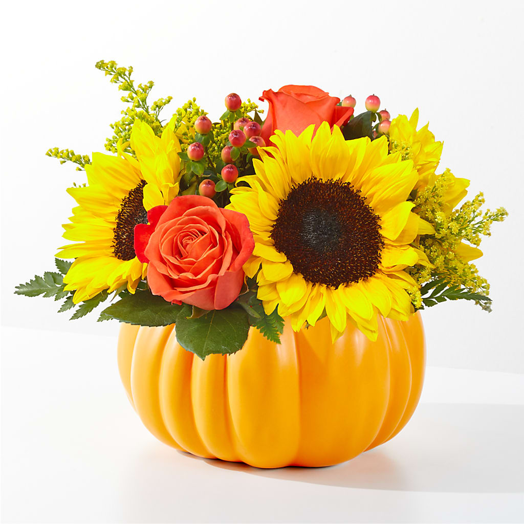 Bouquet de citrouilles cueillies au champ