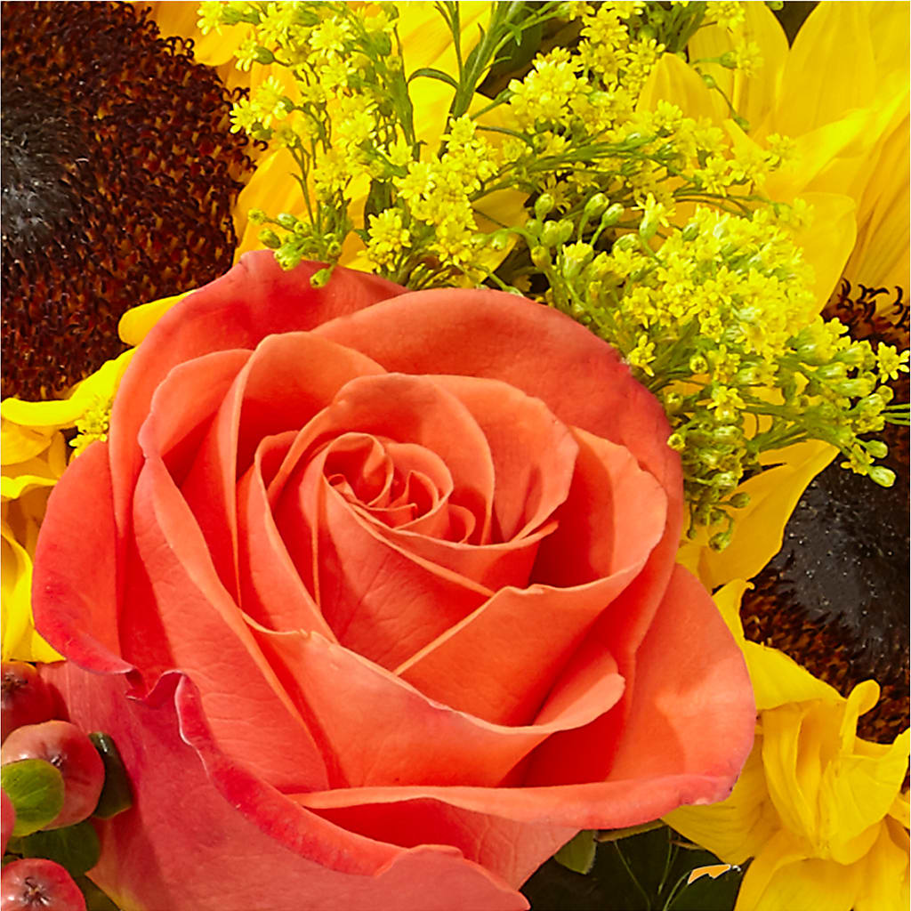 Pick of the Patch Pumpkin Bouquet –  Heavenly Plants, Regina SK