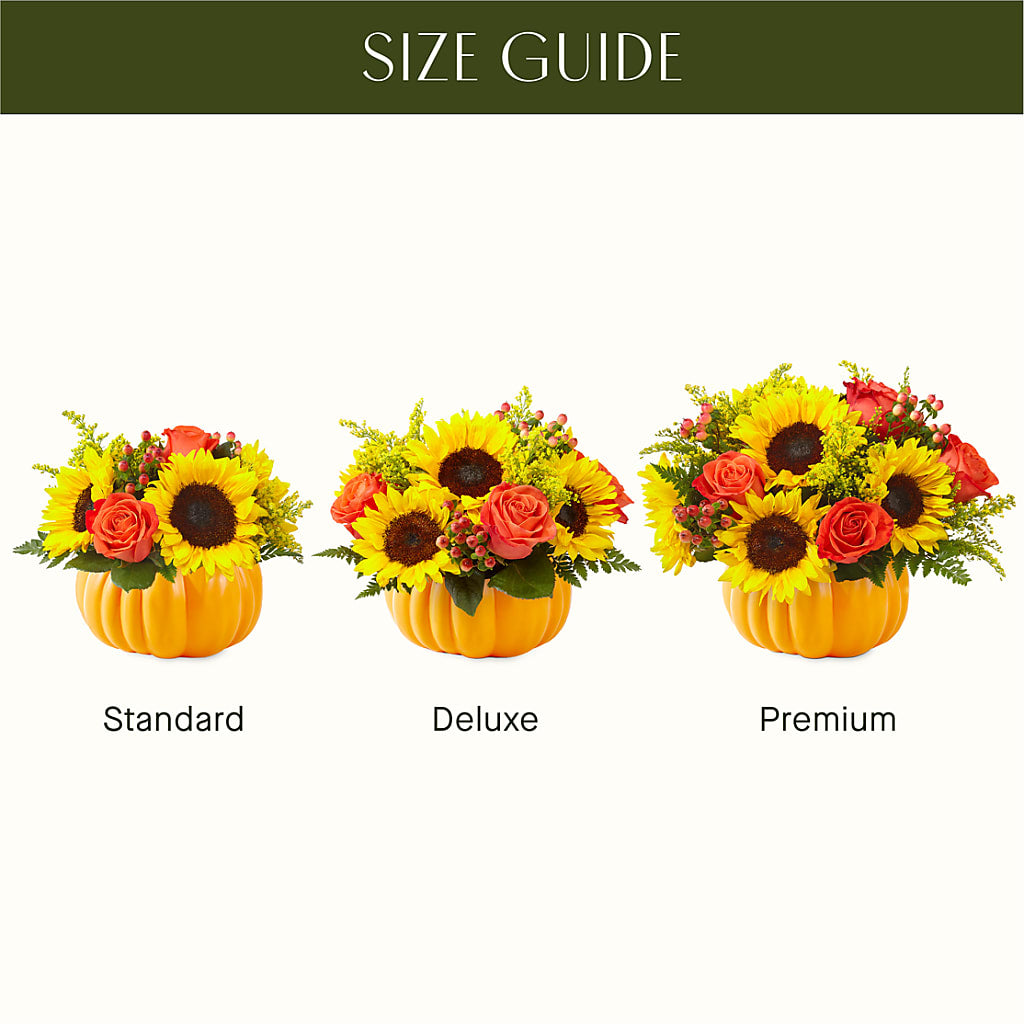 Pick of the Patch Pumpkin Bouquet –  Heavenly Plants, Regina SK