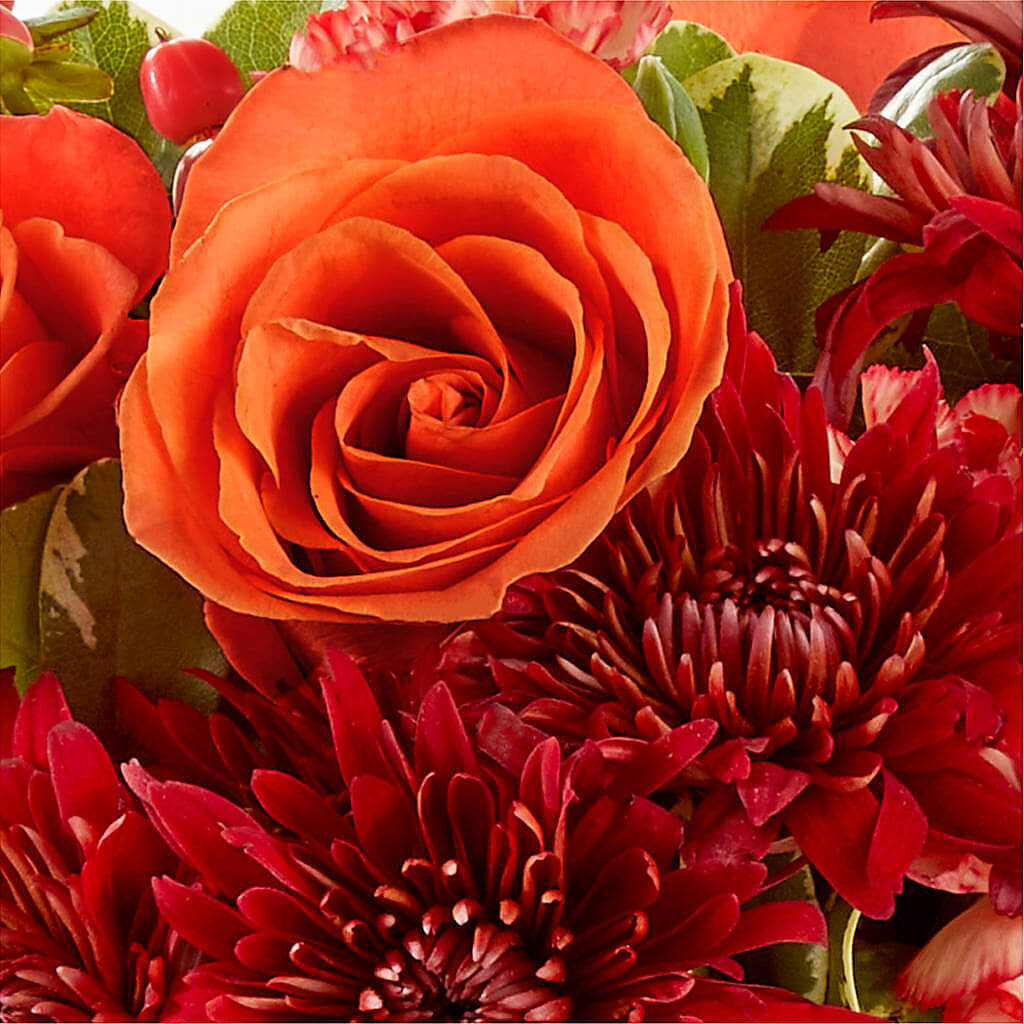 Autumn Air Pumpkin Bouquet –  Heavenly Plants, Regina SK
