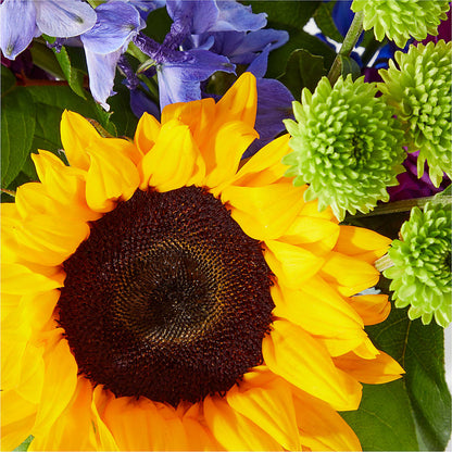 Catching Rays Bouquet –  Heavenly Plants, Regina SK