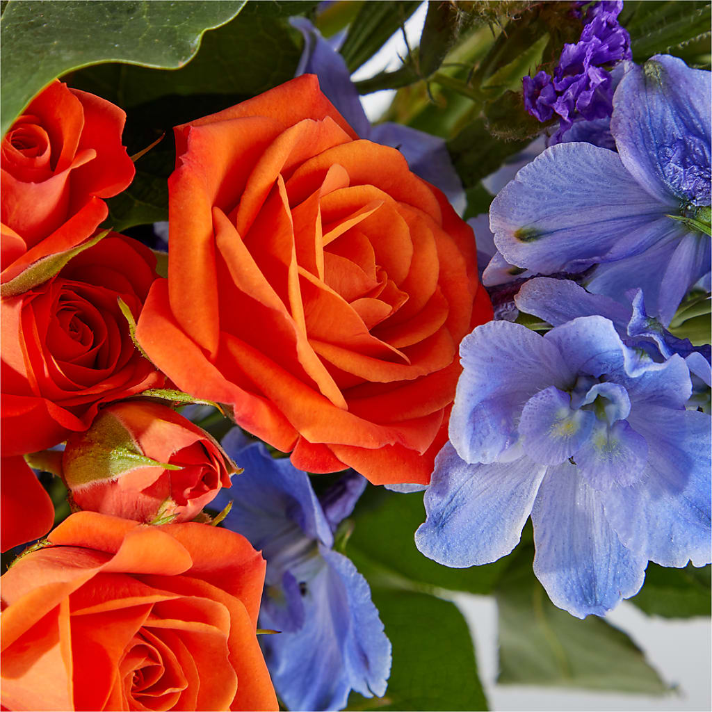 Radiant Citrus Bouquet –  Heavenly Plants, Regina SK
