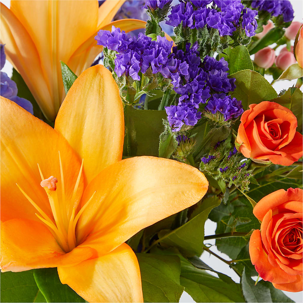 Radiant Citrus Bouquet –  Heavenly Plants, Regina SK