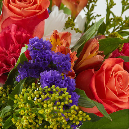 Oopsie Daisy Bouquet –  Heavenly Plants, Regina SK