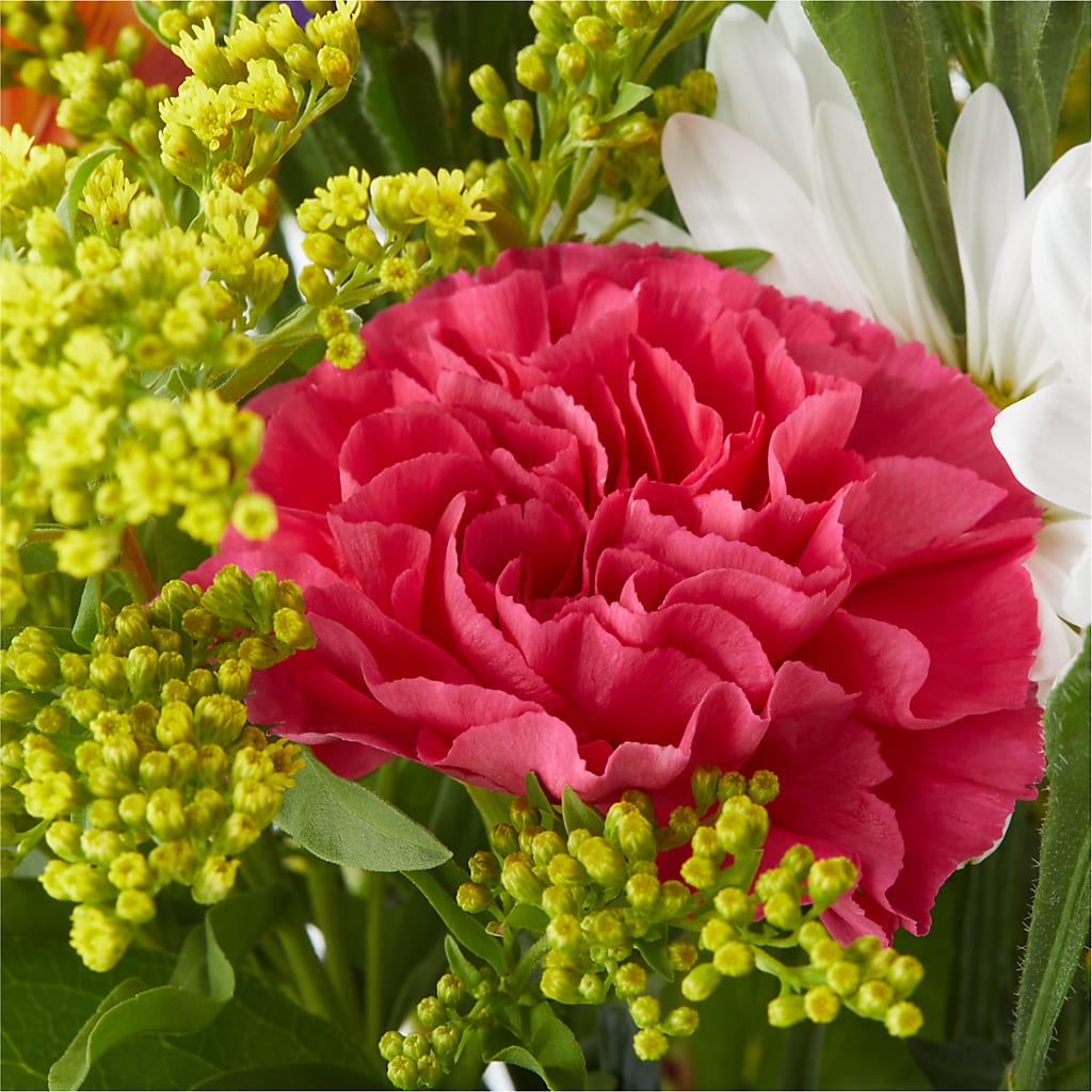 Oopsie Daisy Bouquet –  Heavenly Plants, Regina SK