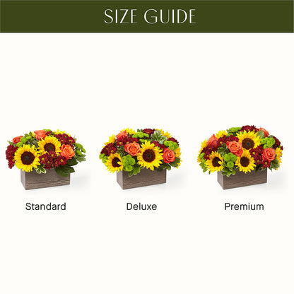 Happy Harvest Garden –  Heavenly Plants, Regina SK