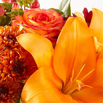 Backyard Bonfire Bouquet –  Heavenly Plants, Regina SK