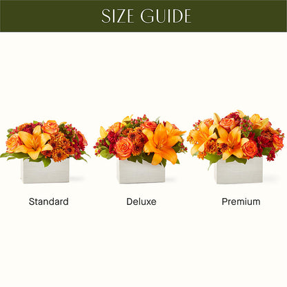 Backyard Bonfire Bouquet –  Heavenly Plants, Regina SK