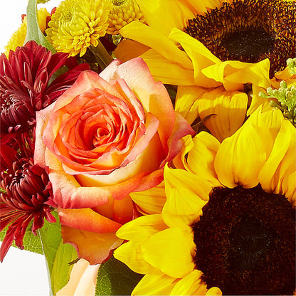 Golden Gourd Pumpkin Bouquet –  Heavenly Plants, Regina SK