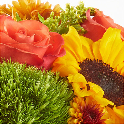 Farmer’s Market Stroll Bouquet –  Heavenly Plants, Regina SK
