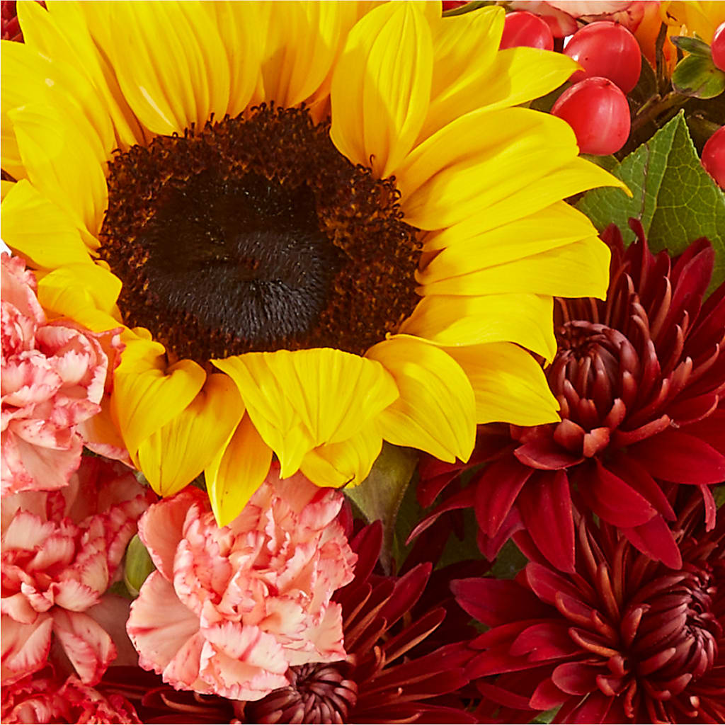 Fresh Cider Bouquet –  Heavenly Plants, Regina SK