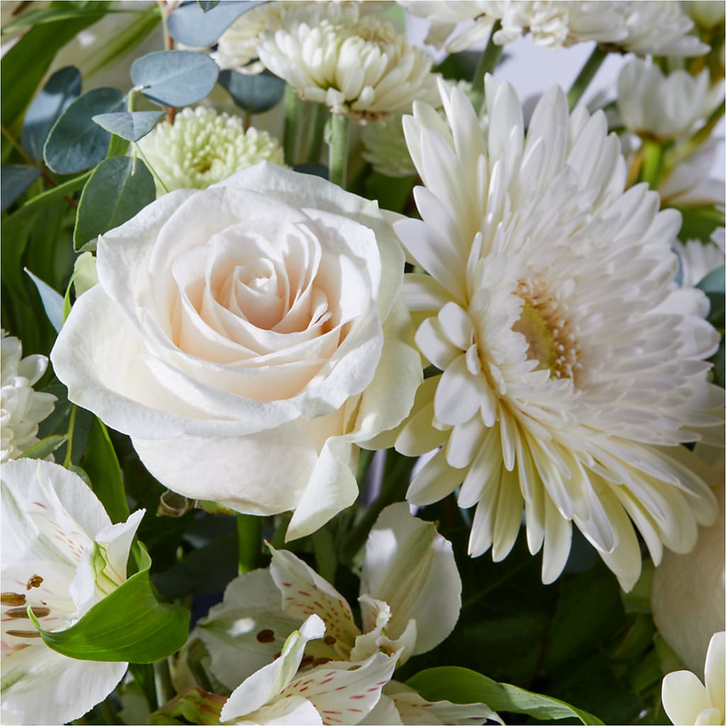 New Beginnings – A Florist Original –  Heavenly Plants, Regina SK