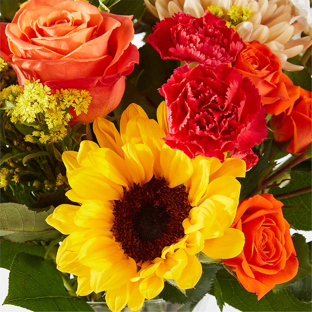 Fall Delight – A Florist Original –  Heavenly Plants, Regina SK