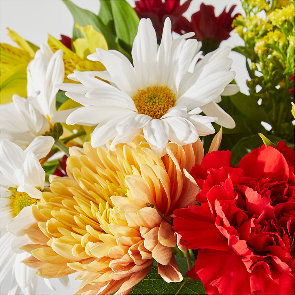 Fall Delight – A Florist Original –  Heavenly Plants, Regina SK