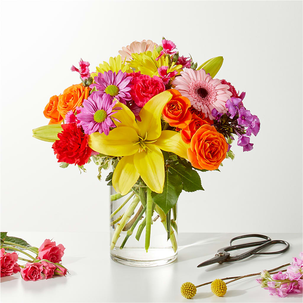 Cue the Confetti - A Florist Original –  Heavenly Plants, Regina SK