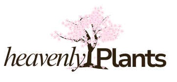 Heavenly Plants