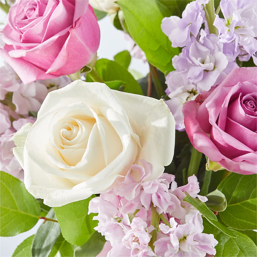 Springtime Spritz Bouquet –  Heavenly Plants, Regina SK