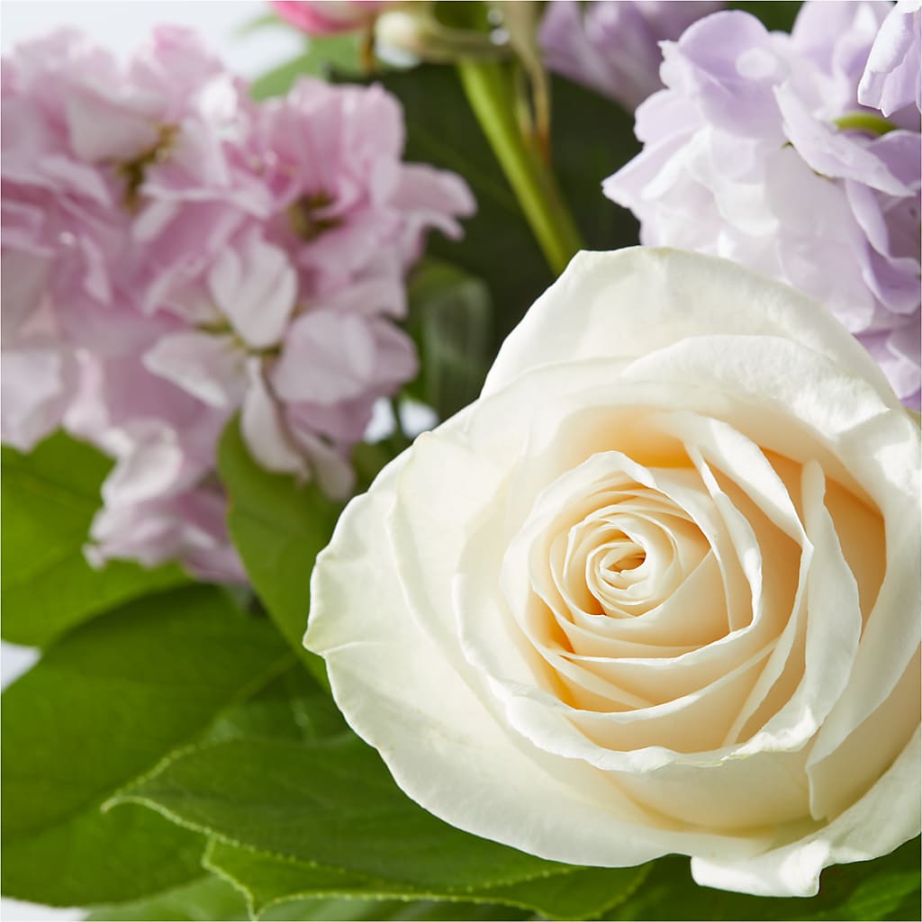 Springtime Spritz Bouquet –  Heavenly Plants, Regina SK