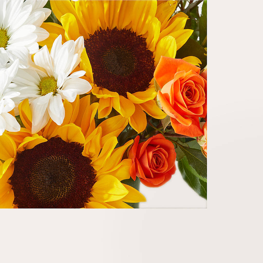 Sun-drenched Blooms Box Bouquet –  Heavenly Plants, Regina SK
