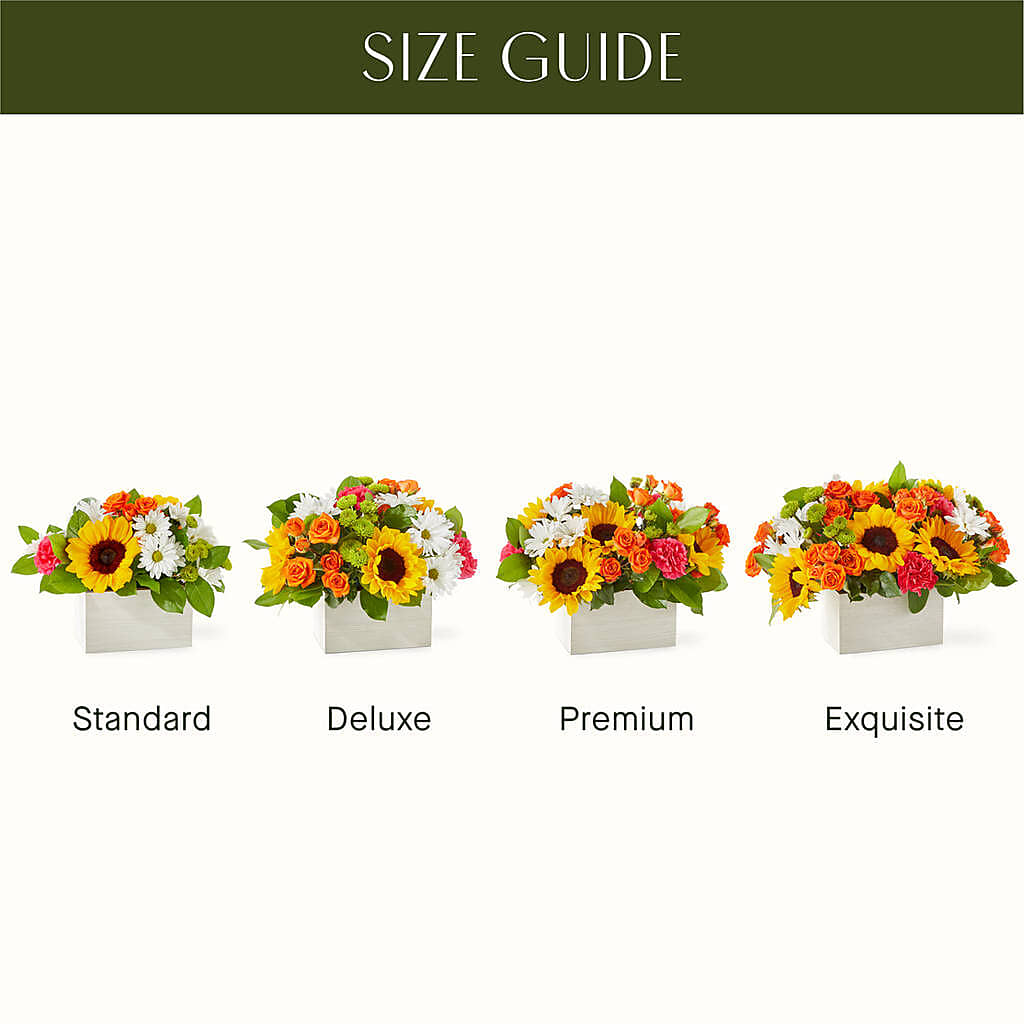 Sun-drenched Blooms Box Bouquet –  Heavenly Plants, Regina SK