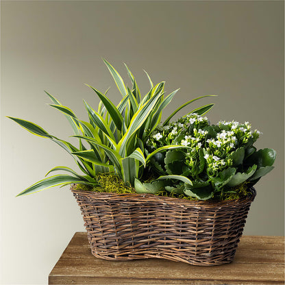 Blooming Garden –  Heavenly Plants, Regina SK