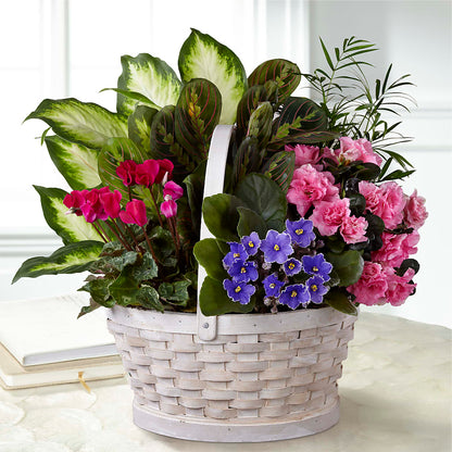 Peaceful Garden Planter –  Heavenly Plants, Regina SK