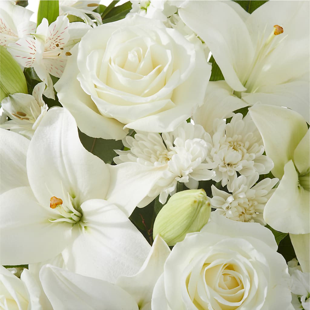 Peaceful Reflections Arrangement –  Heavenly Plants, Regina SK
