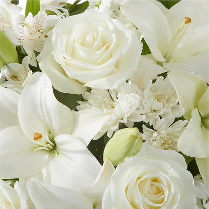 Peaceful Reflections Arrangement –  Heavenly Plants, Regina SK