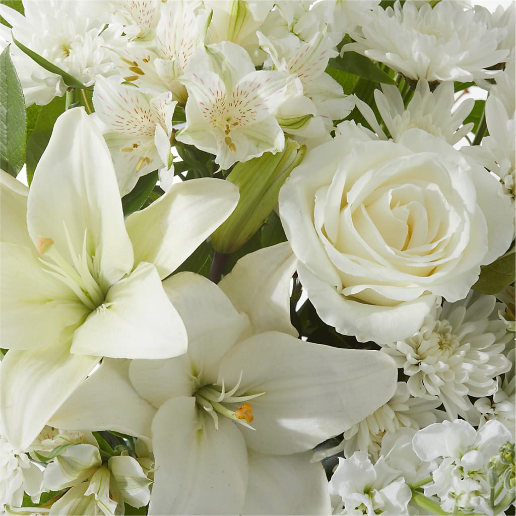 Peaceful Reflections Arrangement –  Heavenly Plants, Regina SK