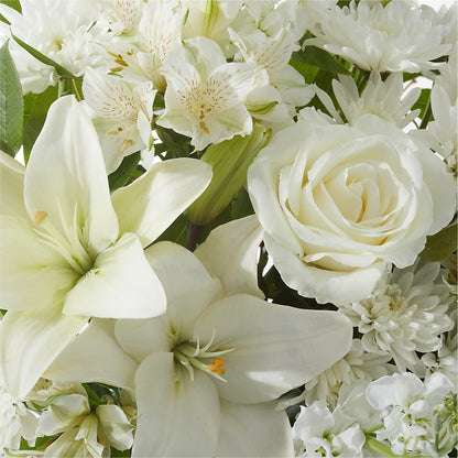 Peaceful Reflections Arrangement –  Heavenly Plants, Regina SK
