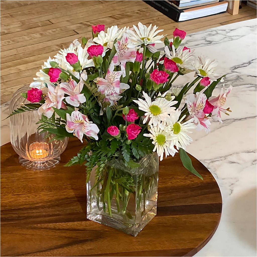 Sweet Surprises® Bouquet –  Heavenly Plants, Regina SK
